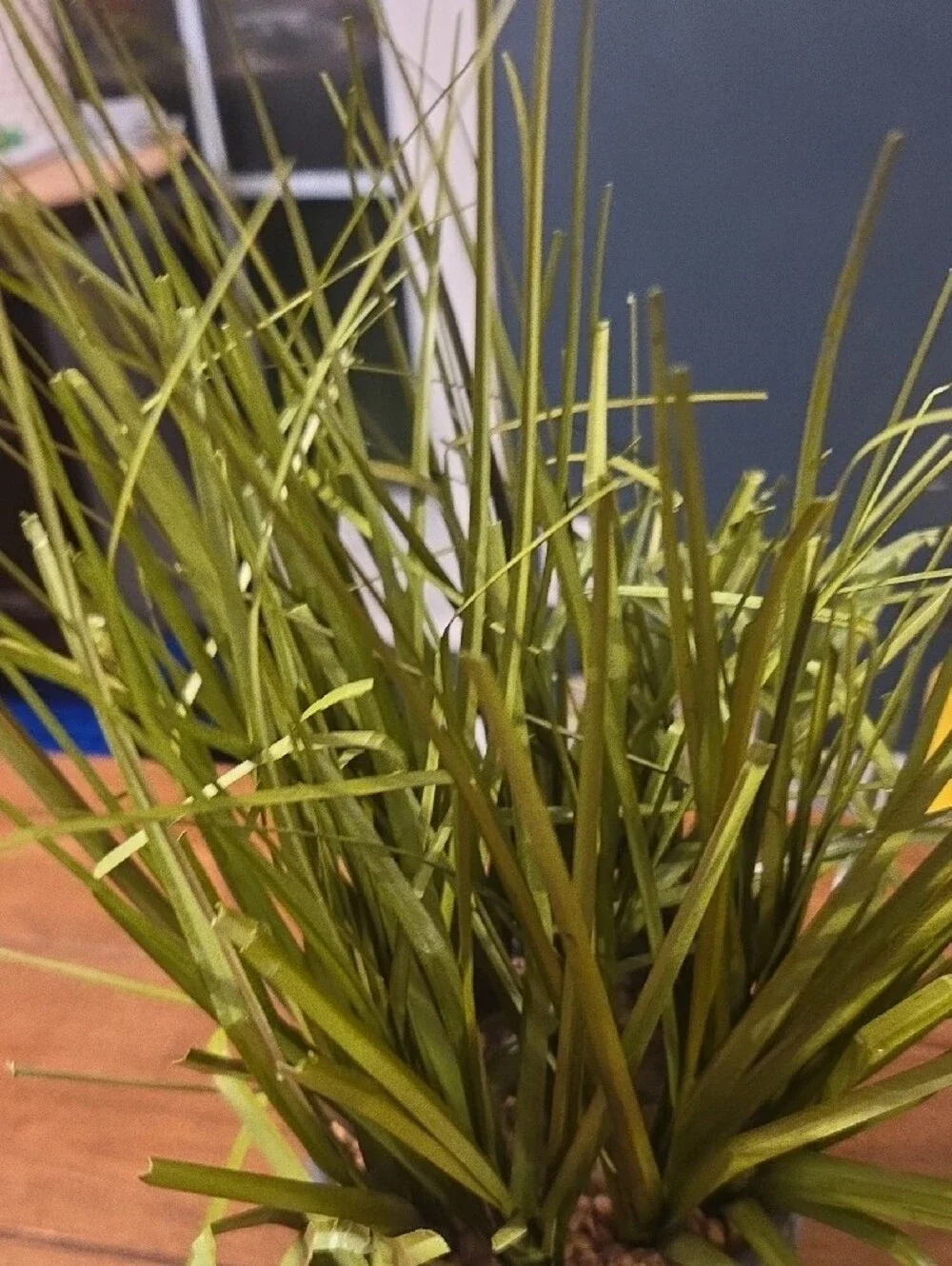 Artificial Grass Plant in Textured Gray Planter - Home Accents